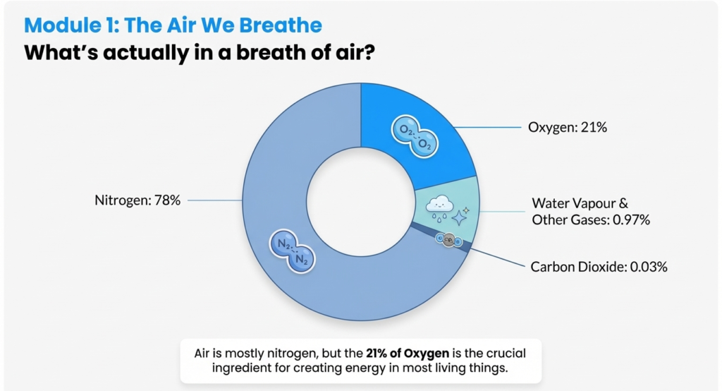 3. psle science composition of air Chart showing composition of air including nitrogen oxygen and carbon dioxide